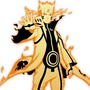 Meet your Posher, Jimmy